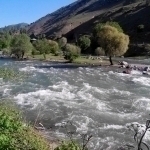 Ugom daryosi gidrologik tabiat yodgorligi deb e’lon qilinadi