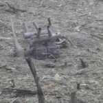 Polshada dron quladi. Aybdor Rossiyami? 
