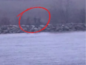 Россия ҳарбийлари Эстония ҳудудига кирди (видео)