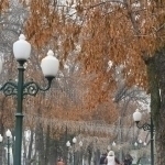 Эртага ҳарорат қандай бўлиши айтилди