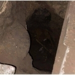 Rossiyadagi koloniyadan tunnel qazib qochgan o‘zbekistonliklar jazolandi