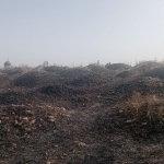 “Mavlono” cemetery catches fire in Namangan