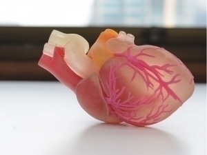 “Инфаркт”дан кейин юракни тиклаш усули топилди