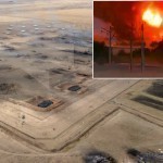 Jambil fojiasi: To‘qayev motam e’lon qildi