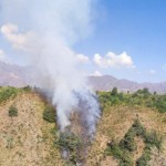 Chotqol qo‘riqxonasi hududida yana yong‘in sodir bo‘ldi