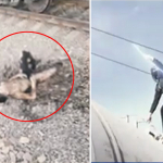 Selfi dardi: 18 yoshli mehribonlik uyi tarbiyalanuvchisini 27 ming volt tok urdi
