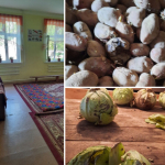 Kitobdagi xaroba Mehribonlik uyi direktori va ombor mudiri “uchdi”
