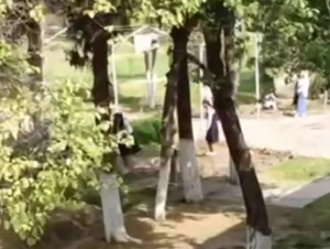 Бўкада мактабга кеч қолган болалар ўт юлишга мажбурланди (видео)