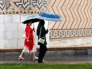 Эртага ҳарорат пасайиб, айрим жойларда ёмғир ёғади