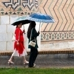 Ertaga harorat pasayib, ayrim joylarda yomg‘ir yog‘adi