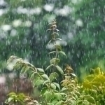 Rain expected in some areas tomorrow
