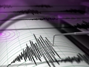 Афғонистонда содир бўлган зилзила Ўзбекистонда сезилди