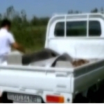 Brutal killing over debt ends in prison sentence in Fergana