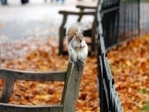 Ҳафта бошида ҳаво ҳарорати қандай бўлади?