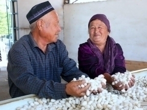 Silkworm farmers were granted exemption from income and social taxes