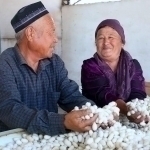 Silkworm farmers were granted exemption from income and social taxes