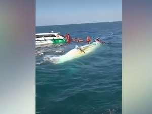 ТИВ Пхукетда ҳалокатга учраган ўзбекистонликлар бўйича маълумот берди