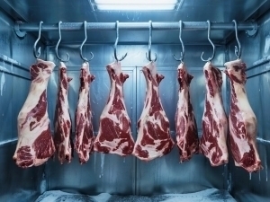 Go‘sht import qiladigan tadbirkorlarga subsidiya ajratiladi