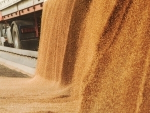 Қозоғистон Россиядан ғалла импортини тақиқлади