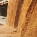 Қозоғистон Россиядан ғалла импортини тақиқлади