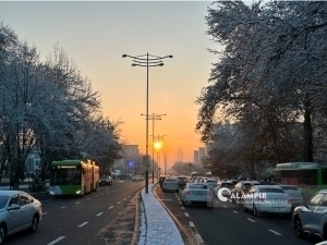 Эртага ўзбекистонликларни қандай об-ҳаво кутмоқда?