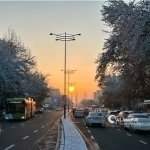 Ertaga o‘zbekistonliklarni qanday ob-havo kutmoqda?