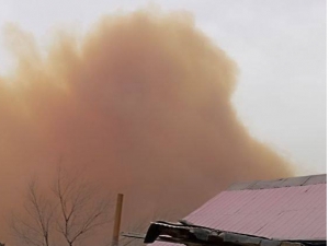 Мурунтов чанг-тўзон ичида қолди 