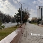Ertaga qanday ob-havo bo‘lishi aytildi