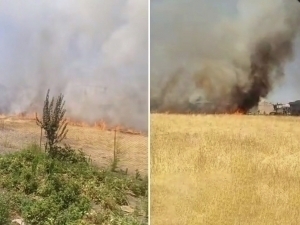 Poytaxtda ham yong‘in sodir bo‘ldi (video)