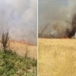 Poytaxtda ham yong‘in sodir bo‘ldi (video)