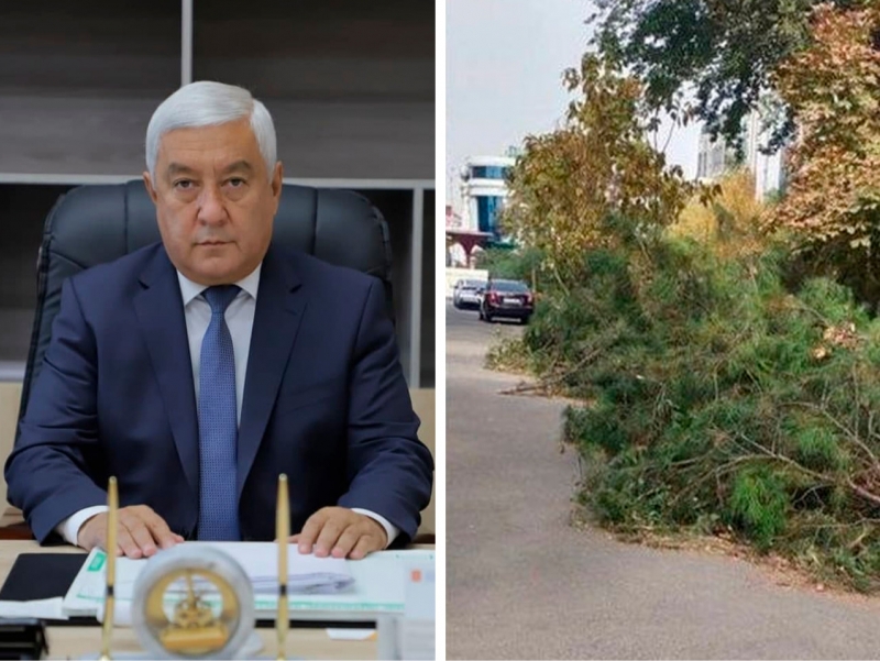 Mashhurlarning eng seksual kokraklari