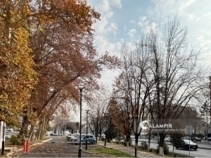 Toshkentda havo sifati yaxshilandi