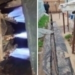 Toshkent viloyatida salkam 2 mlrd so‘m zarar keltirgan issiqxonalar aniqlandi (video)