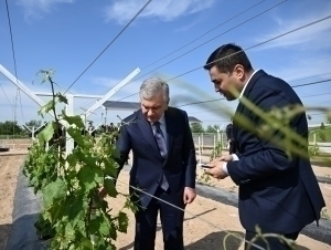Шавкат Мирзиёев Қувадаги агромажмуа билан танишди