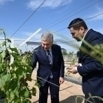 Shavkat Mirziyoyev Quvadagi agromajmua bilan tanishdi
