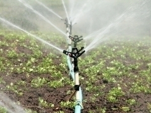 Uzbekistan to borrow $250 million to modernize irrigation system