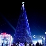 Toshkent bosh archasi dunyo reytingidan joy oldi