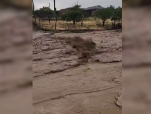 O‘zgidromet tezkor ogohlantirish bilan chiqdi