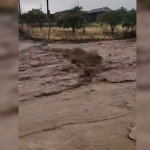 O‘zgidromet tezkor ogohlantirish bilan chiqdi