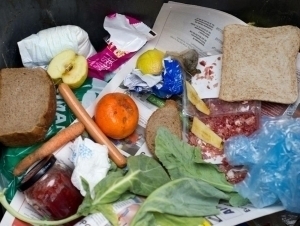 Одамлар ҳар йили 1 млрд тоннадан ортиқ озиқ-овқатни ташлаб юборади – БМТ