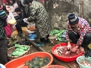 Ҳар йили 1,4 млн одам антисанитария сабаб вафот этади – ЖССТ