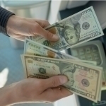 Dollarning rasmiy kursi yangilandi