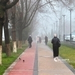 Harorat pasayishi ortidan Toshkentda havo sifati yomonlashdi