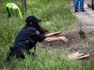 AQSHda 800 ming dollar qiymatdagi tanga yo‘lga sochilib ketdi (video)