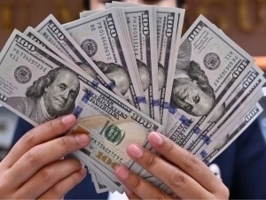 Кетма-кет тушишдан сўнг доллар курси ошди