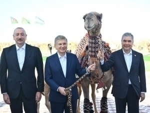 “Арқадағ” Мирзиёевга туя ва бўталоқ совға қилди