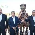 “Arqadag‘” Mirziyoyevga tuya va bo‘taloq sovg‘a qildi