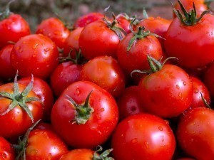 O‘zbekistonda pomidor narxi tushib ketdi 