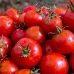 O‘zbekistonda pomidor narxi tushib ketdi 