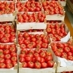 Қозоғистон Ўзбекистондан помидор импортини вақтинча тақиқлади